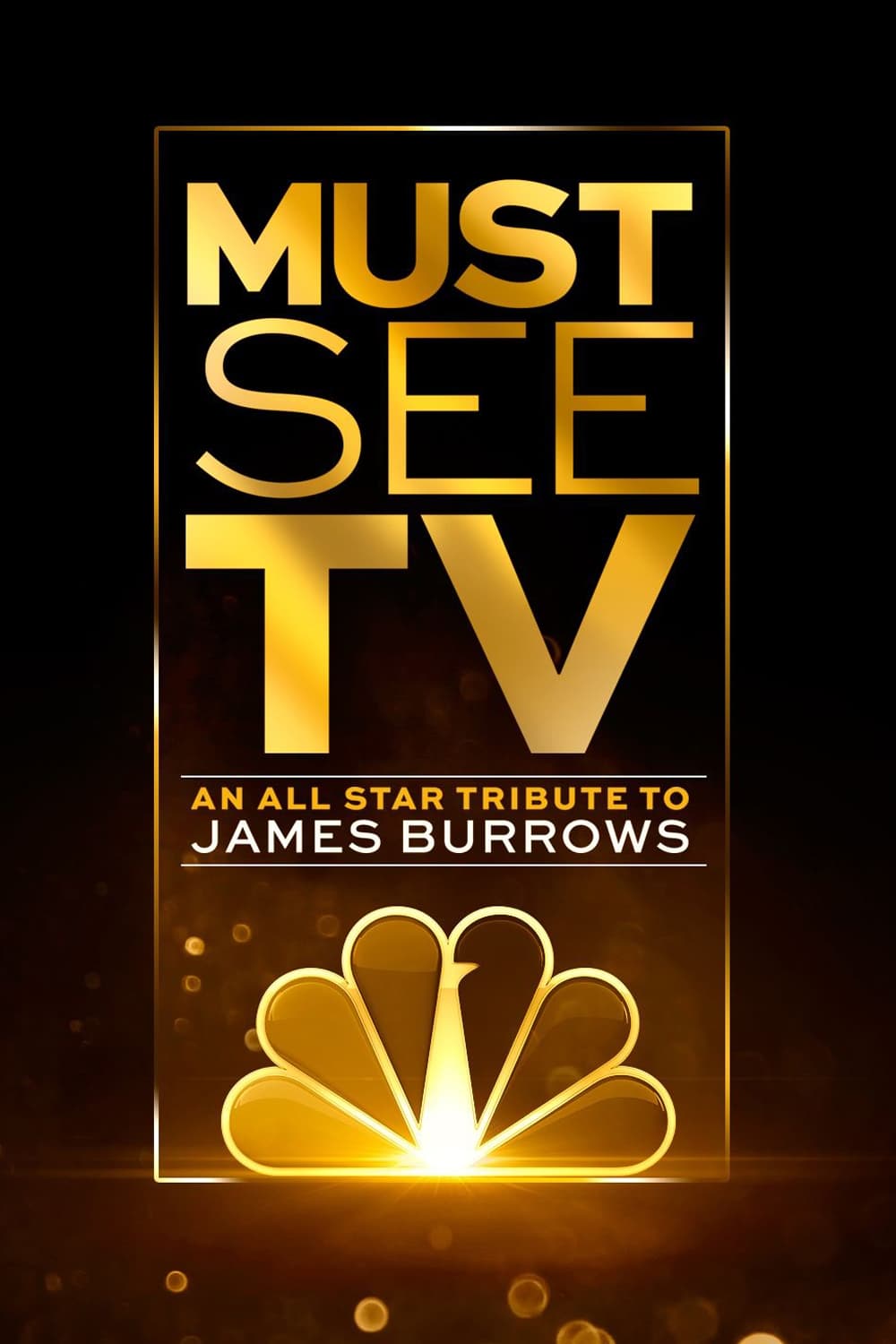 Постер Must See TV: An All Star Tribute to James Burrows